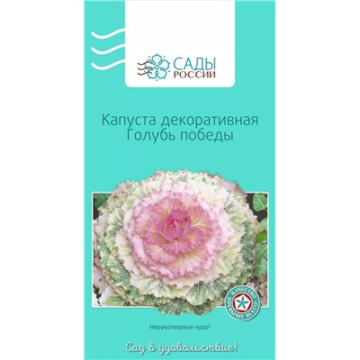 Капуста декоративная Голубь победы , арт.: 3894