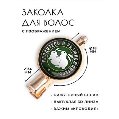 HZF-0378 Заколка Плодитесь и размножайтесь