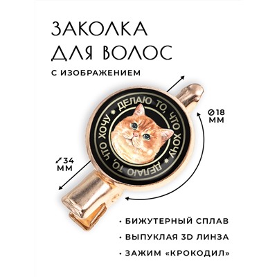 HZF-0068 Заколка Кот (делаю, что хочу)