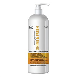 Кондиционер для волос с яблочным уксусом, Shine & Fresh Brilliant Conditioner, Frezy Grand, 1000 мл