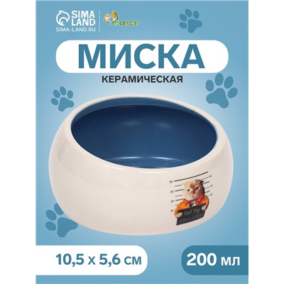 Миска керамическая со скошенным краем "Tasty" 200мл, 10,5 х 5,6 см, голубая