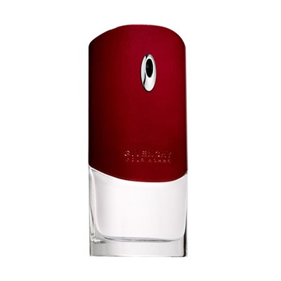 Givenchy Pour Homme edt 100 ml