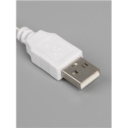 Неоновая вывеска «Кошка» 16 × 23 см, батарейки ААх3 (не в комплекте), USB, свечение тёплое белое