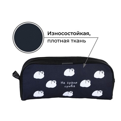 Пенал школьный текстильный «На грани срыва», 20×8×4 см
