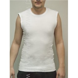 Футболка мужская GT004