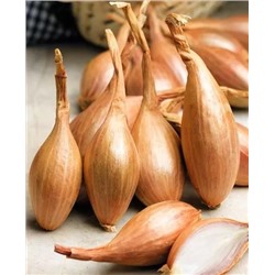 Лук семейный (шалот) Джермор, арт.: 73041