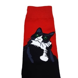 28814 В мире животных | Носки "Кошка и лапки", р-р 38-44 (черный/красный)