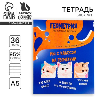 Тетрадь в клетку, предметная, 36 л.,на скрепке, блок №1 «Мемы. Геометрия»