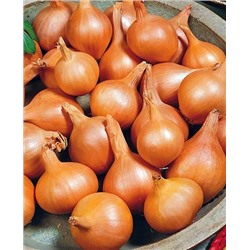 Лук семейный (шалот) Великоустюгский, арт.: 4520