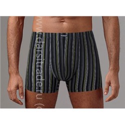 Трусы мужские GS7242 Gentlemen шорты