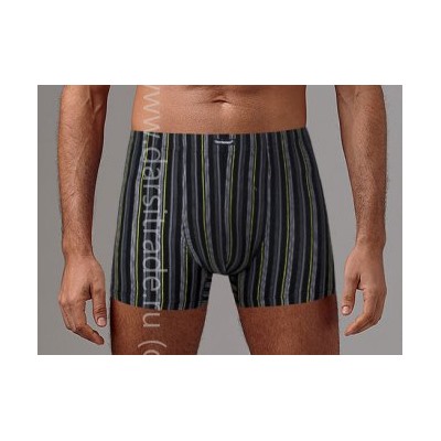 Трусы мужские GS7242 Gentlemen шорты