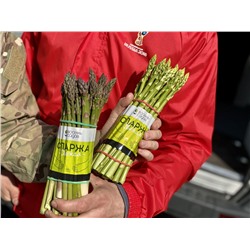 Спаржа, пучок 500 г