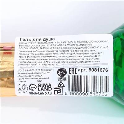 Гель для душа мондоро «Время сиять!», 500 мл, аромат сочного яблока, Чистое счастье