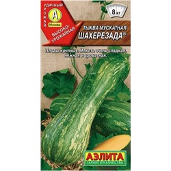 Тыква Шахерезада Аэлита мускатная
