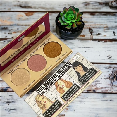 Тени Хайлайтер Румяна (Профессиональный макияж)