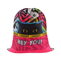 Мешок для обуви 1 отделение ArtSpace "Spy Cat", 340*420мм