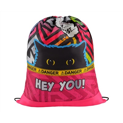 Мешок для обуви 1 отделение ArtSpace "Spy Cat", 340*420мм