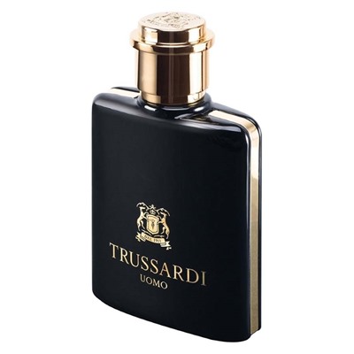 EU Trussardi Uomo For Men edt 100 ml