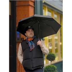 G839-01 Black (Черный) Зонт мужской механика Fulton