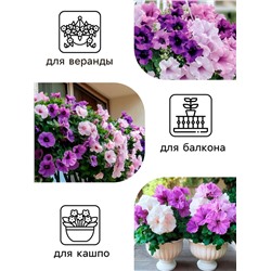 Семена цветов Петуния  Махровая Каскадная Блю&Орхид F1, смесь, О, 8 шт