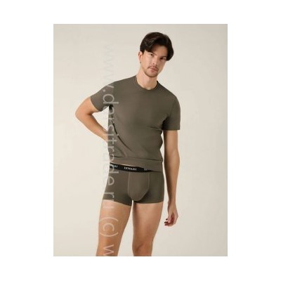 Трусы мужские MSH2147 Basic DiWaRi Дроп боксеры