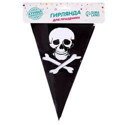 Гирлянда «Пират», 2,5 м