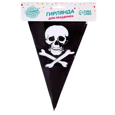 Гирлянда «Пират», 2,5 м