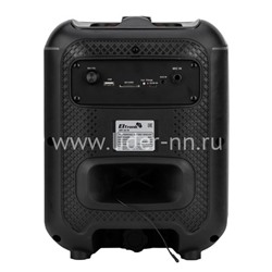 Колонка 08" (30-78 DANCE BOX 550) динамик 1шт/8" ELTRONIC с TWS