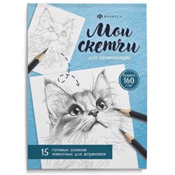 Книжка-раскраска 200х140 мм 16л "Мои скетчи" "ЖИВОТНЫЕ" 69630 Феникс