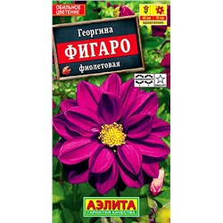 Семена Георгина Фигаро Махровая фиолетовая, арт.: 70505