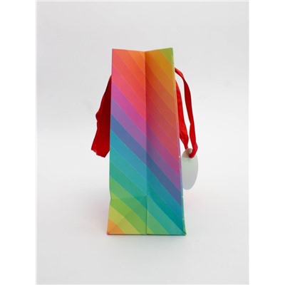 Пакет подарочный «Rainbow Gift», star (18*23*10)