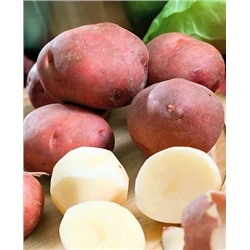 Семенной Картофель Ирбитский, арт.: 4088