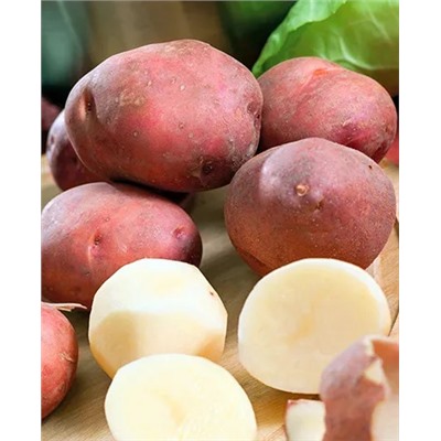 Семенной Картофель Ирбитский, арт.: 4088