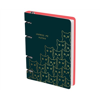 Тетрадь на кольцах А5, 100л., MESHU "Amazing cats", картон, матовая ламинация, выборочный УФ-лак