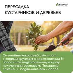Чипсы кокосовые, для террариумов и растений, в брикете, 5 л, Greengo