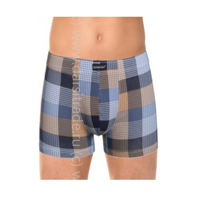 Трусы мужские GS7853Н Gentlemen BIG шорты