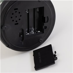 Фигурка светящаяся колба RISALUX «Паук с розой», LED-ночник, 1.5 Вт, 3×AAA, чёрный, USB, 11×11×21 см