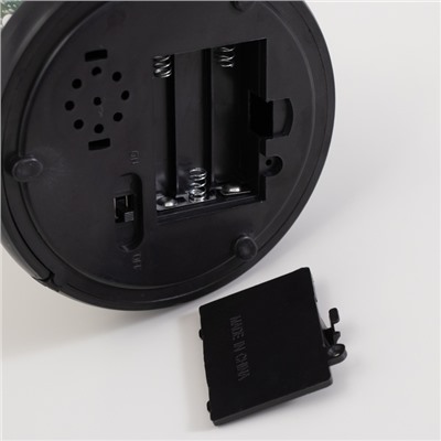 Фигурка светящаяся колба RISALUX «Паук с розой», LED-ночник, 1.5 Вт, 3×AAA, чёрный, USB, 11×11×21 см