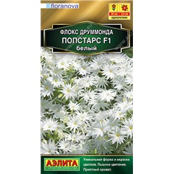 1629 Флокс друммонда Попстарс F1 белый 5шт