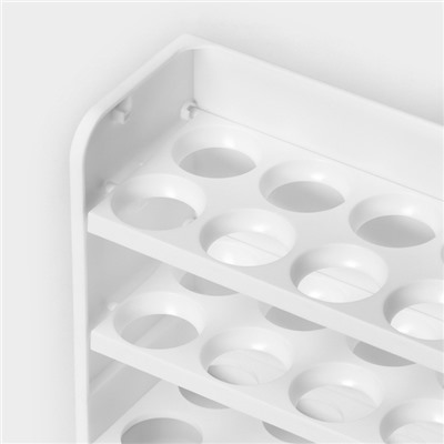 Контейнер для яиц IDEA, 30 ячеек, 25×10×19.5 см, полистирол, белый