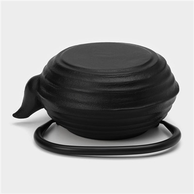 Чайник Magma «Танан», 800 мл, с ситом, с эмалированным покрытием внутри, индукция, чугун, чёрный