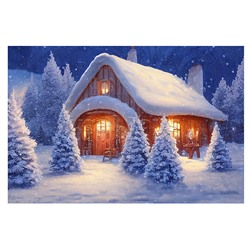 Алмазная мозаика 17х22 "Дом в снегу " c подр., с полн. заполн. (20цв) (класс.)