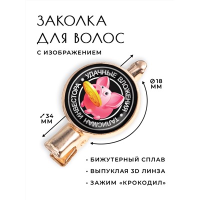 HZF-0062 Заколка Удачные вложения