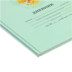 Дневник школьный для 1-11 классов, «Зелёный нежный однотонный», твёрдая обложка 7БЦ, глянцевая ламинация, 40 листов