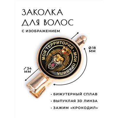HZF-0086 Заколка Моя территория - мои правила