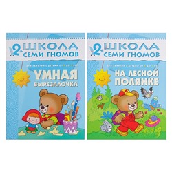 Книги детские «Полный годовой курс от 2 до 3 лет», набор 12 шт. с картонной вкладкой, Денисова Д.
