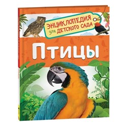 Энциклопедия для детского сада «Птицы», Гальцева С. Н.