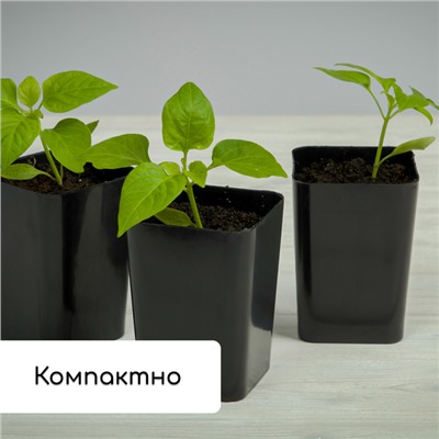 Набор для рассады: стаканы по 300 мл (12 шт.), поддон 45×18 см, МИКС, Greengo
