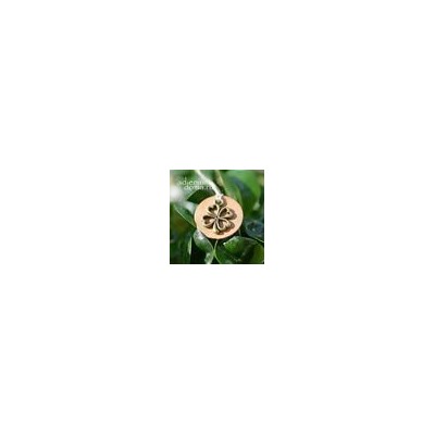 Подвеска КЛЕВЕР III бронза (Trifolium)
