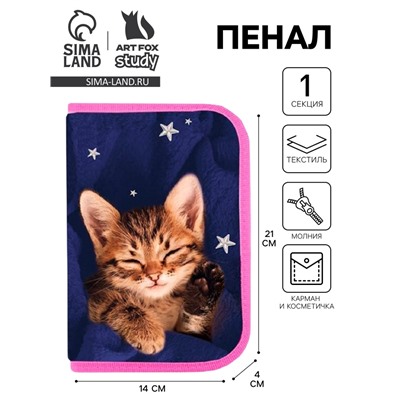 Пенал 1 секция 140 х 210 х 40 мм, откидной карман и косметичка, тканевый, Calligrata TOP Content "Котик"